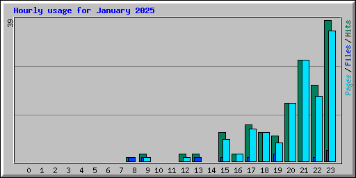 Hourly usage for January 2025