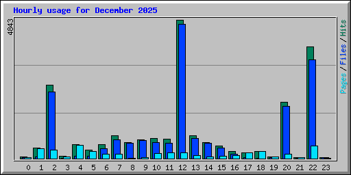 Hourly usage for December 2025